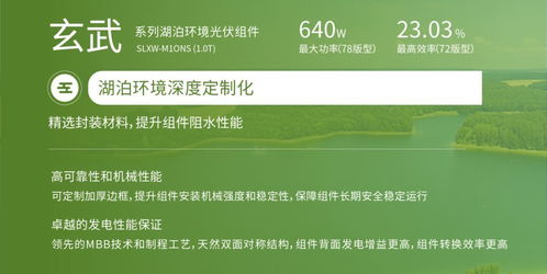 雙良新能科技超級(jí)光能系列高效光伏組件榮獲韓國(guó)工業(yè)標(biāo)準(zhǔn)KS認(rèn)證，助力銀河棉業(yè)綠色發(fā)展